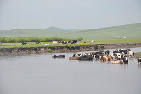 ����ʪ�ط羰