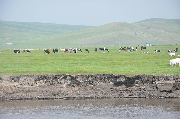 ����ʪ�ؾ���