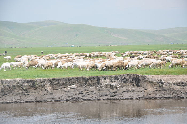 ����ʪ�ؾ���