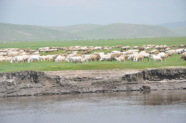 ����ʪ�ؾ�ɫ