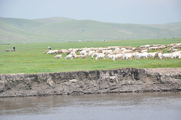 ����ʪ������