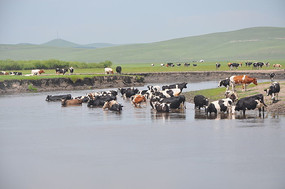 ����ʪ��ͼƬ