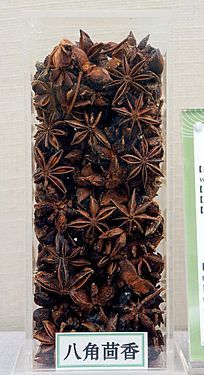 �˽�����