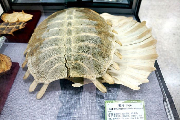 ��׼�ҩ��˵��