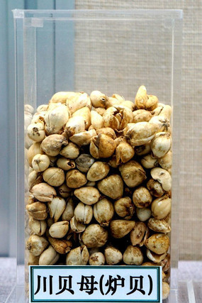 ����ĸ��¯����