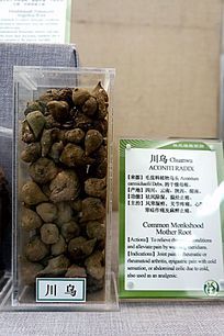 ���ڼ�ҩ��˵��