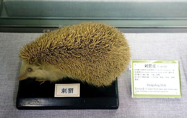 ��⬺ʹ��Ƥҩ��˵��