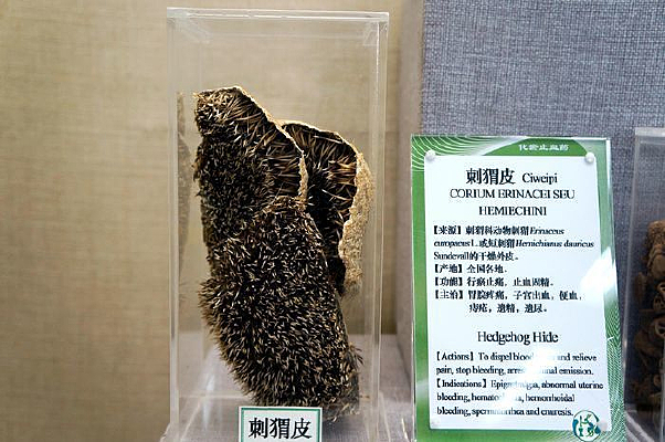 ���Ƥ��ҩ��˵��