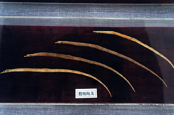 ���Ǻ���