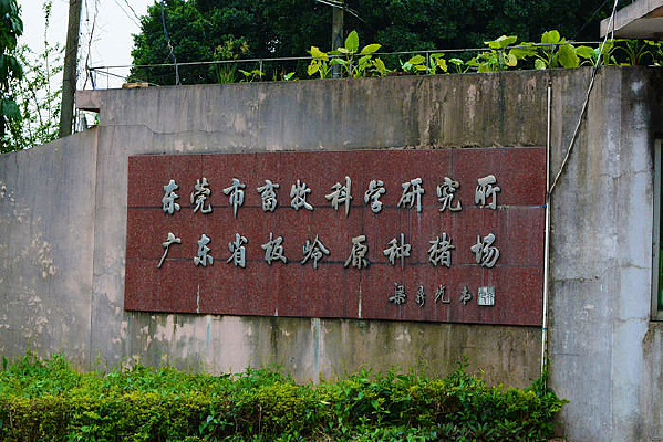 ��ݸ�����о���