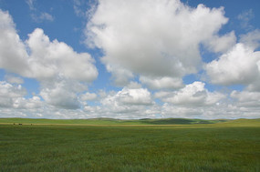 ���ױ�������