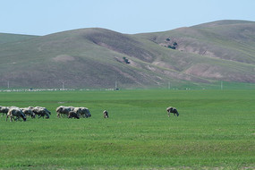 �������ɹ�����