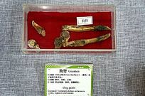 ������ҩ��˵��