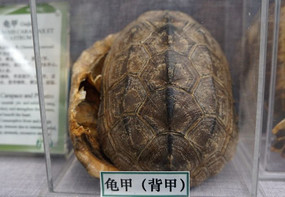 ��ף����ף�