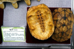 ���ҩ��˵���͹��