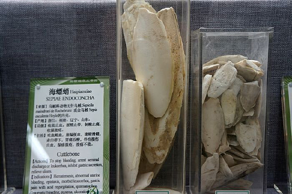 ����ټ�ҩ��˵��