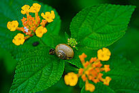 �ʻ�����ţ