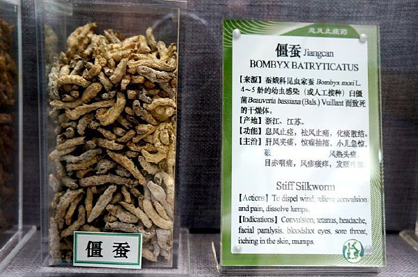 ���Ϻ�ҩ��˵��