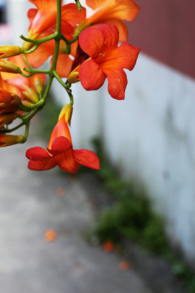 ����������������