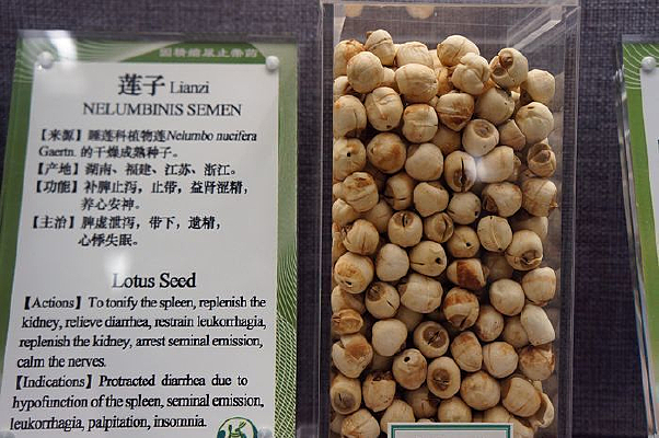 ���Ӽ�ҩЧ˵��