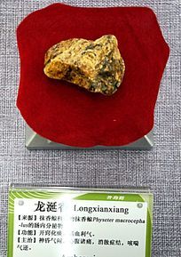 �������ҩ��˵��