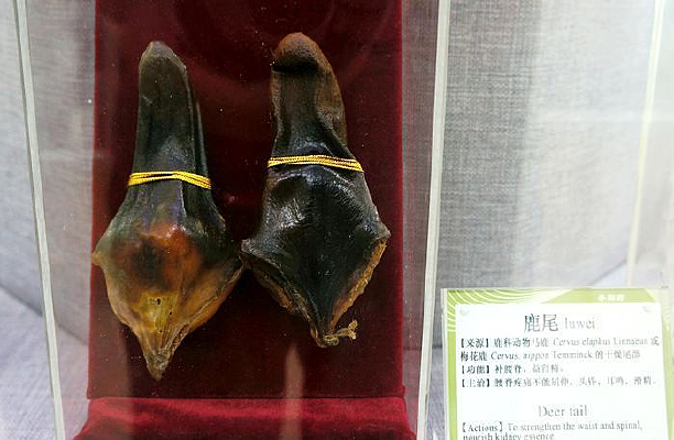 ����˵��