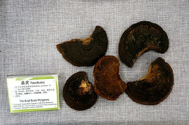 ɣ�ƺ�ҩ��˵��