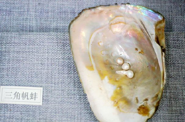 ���Ƿ���