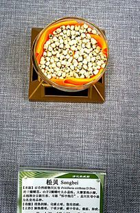 �ɱ���ҩ��˵��