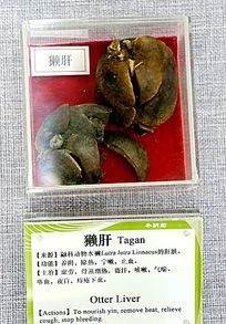 ̡�κ�ҩ��˵��