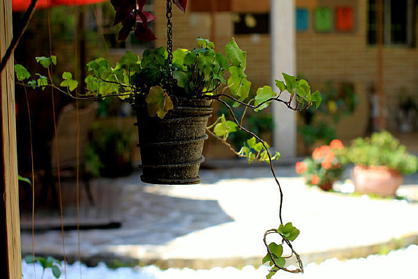 ��ɫ������