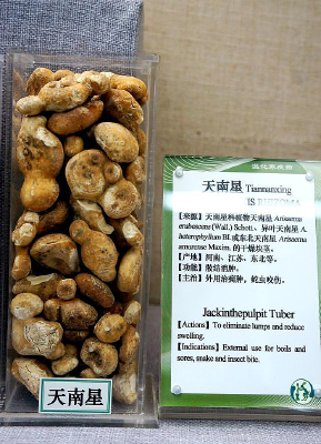 �����Ǻ�ҩ��˵��