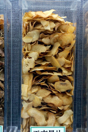 ������Ƭ