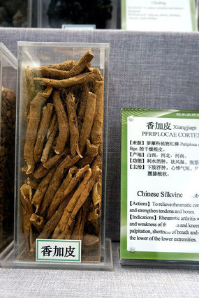 ���Ƥ��ҩ��˵��