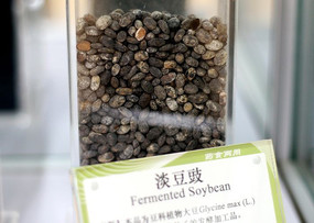 ҩʳ������ҩ������