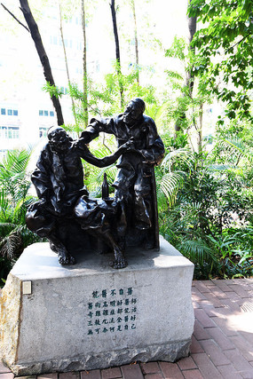 ҽ������