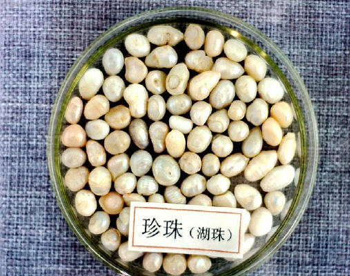 ���飨���飩