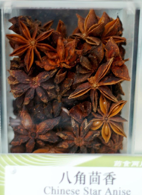 ��ҩ�˽�����