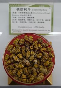 ��ҩ��Ƥ�㶷