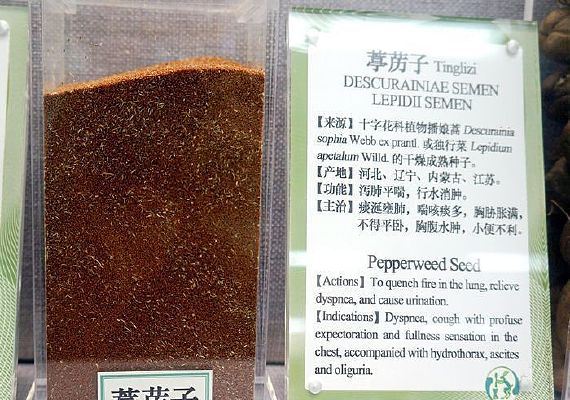 �����Ӽ�ҩ��˵��