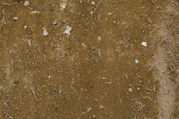 ��ɫ�����ز�