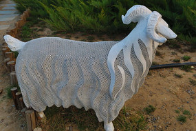 ��ɫ��������