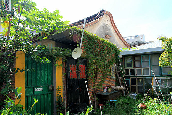 ���������ݲݵ���ǽ