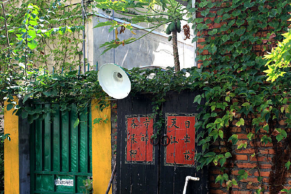 ����ֲ�����ǽ