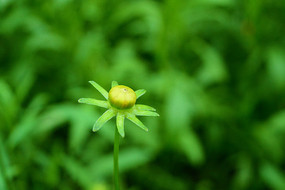 �������Żƻ�