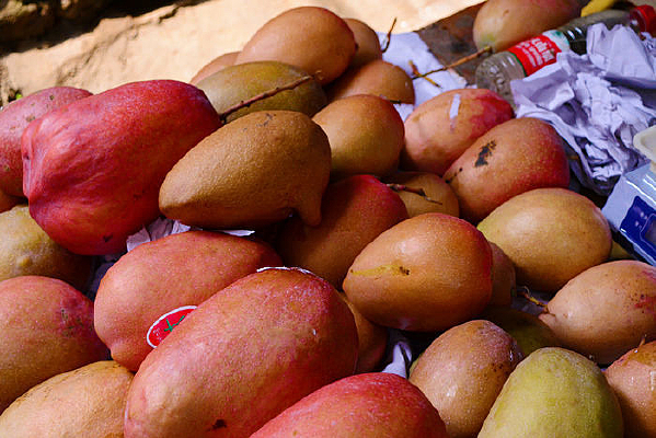 ��ɫ��â��