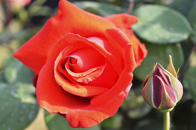 ���¼��ͻ���