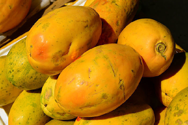 ��ɫ��â��