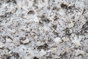 ����ʯ��������