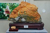 ����ҩ�ƻƺ��ۻƼ�����